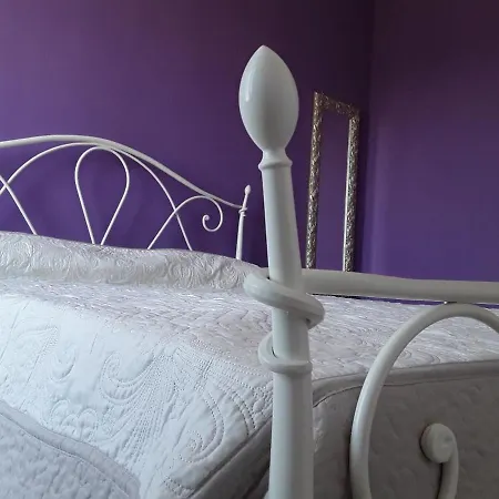 Il Fenicottero Azzurro - *