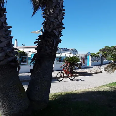 Il Fenicottero Azzurro -