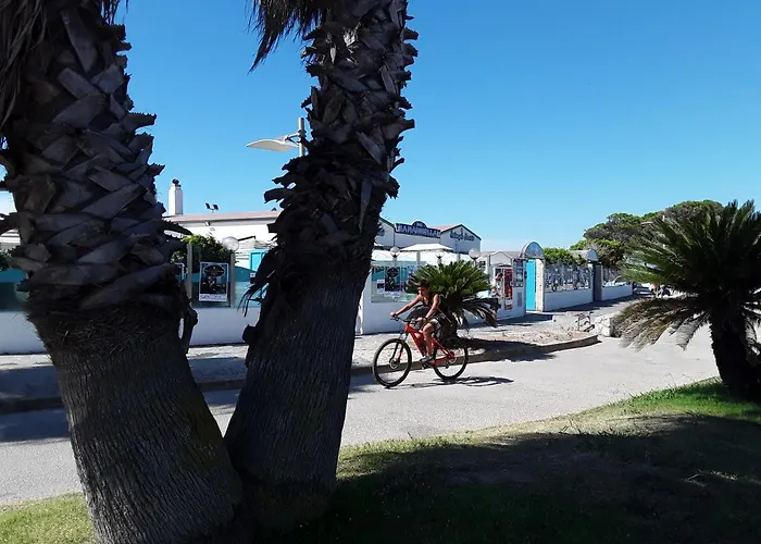 Il Fenicottero Azzurro -